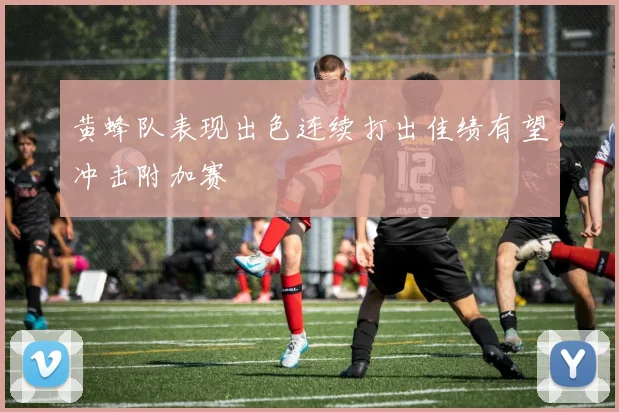 黄蜂队表现出色连续打出佳绩有望冲击附加赛